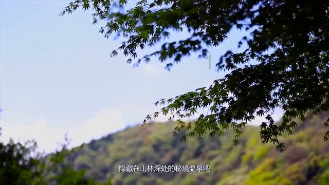 经济日报金观平:坚持经济和金融一盘棋思想