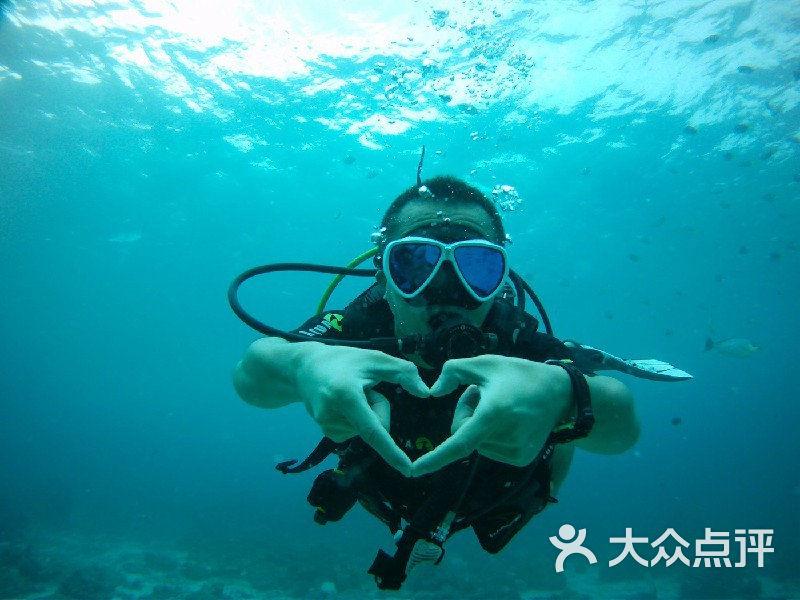 异形：隔离