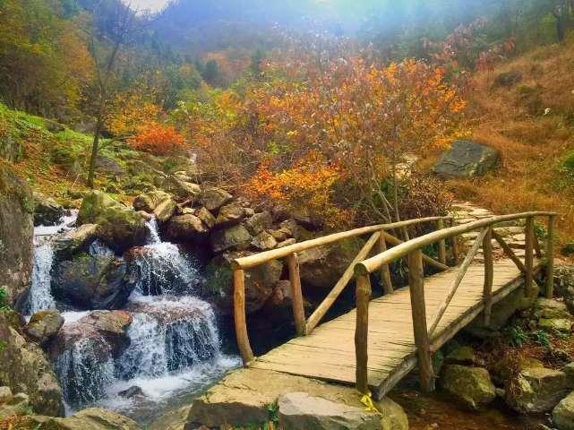 着眼临床实际需求 共谋儿科发展之策