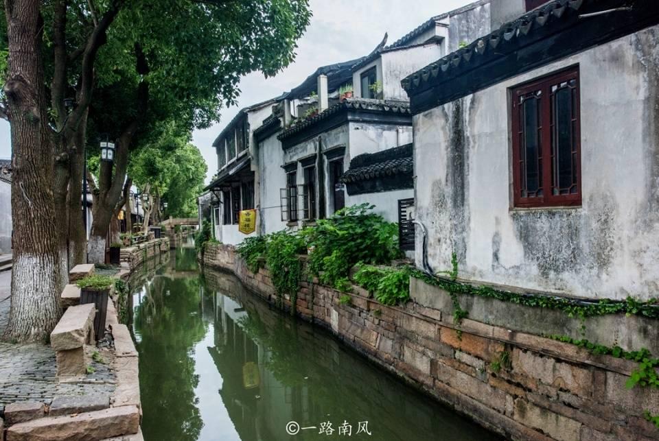 胖小猫救援